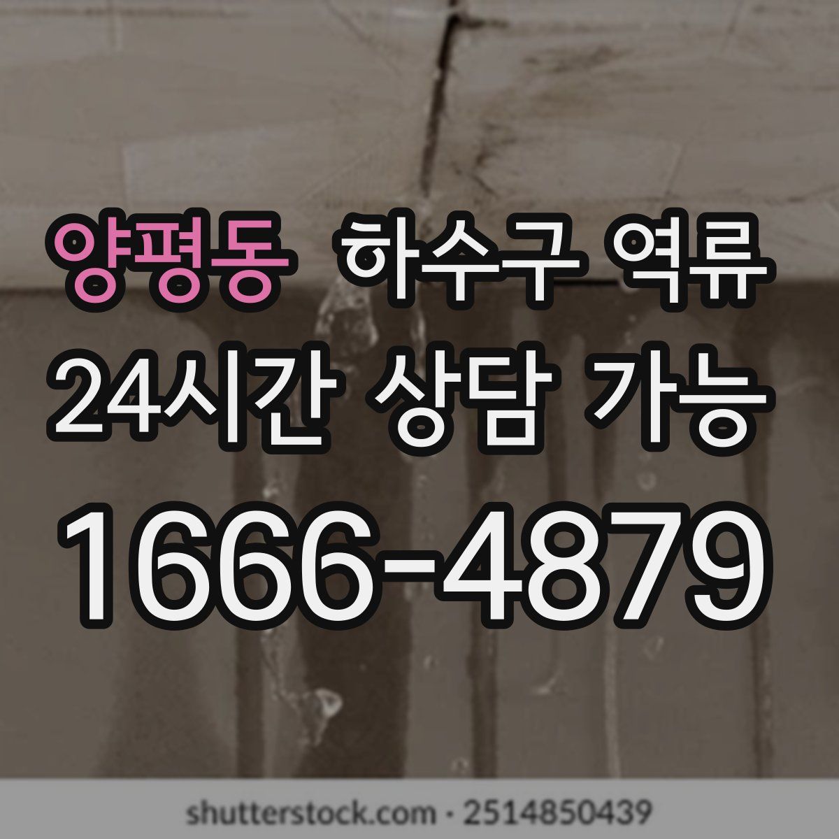 양평동 하수구 역류