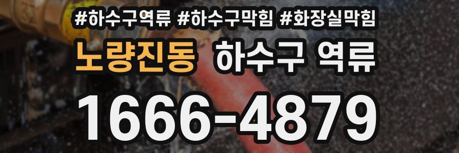 노량진동 하수구 역류