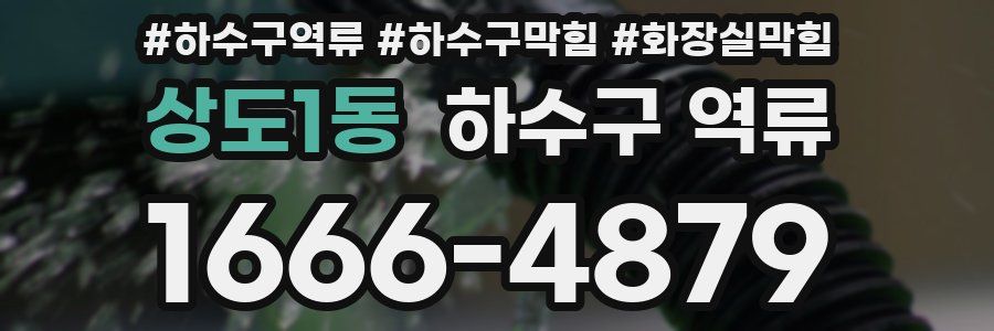 상도1동 하수구 역류