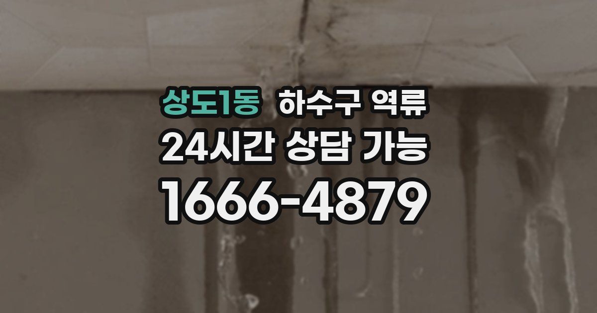 상도1동 하수구 역류