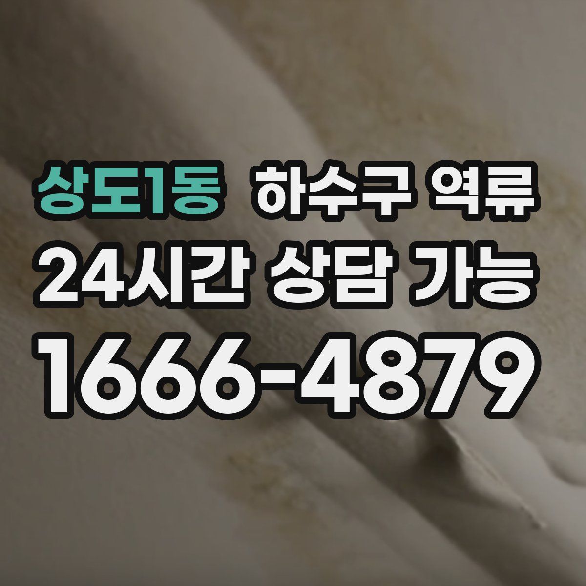 상도1동 하수구 역류