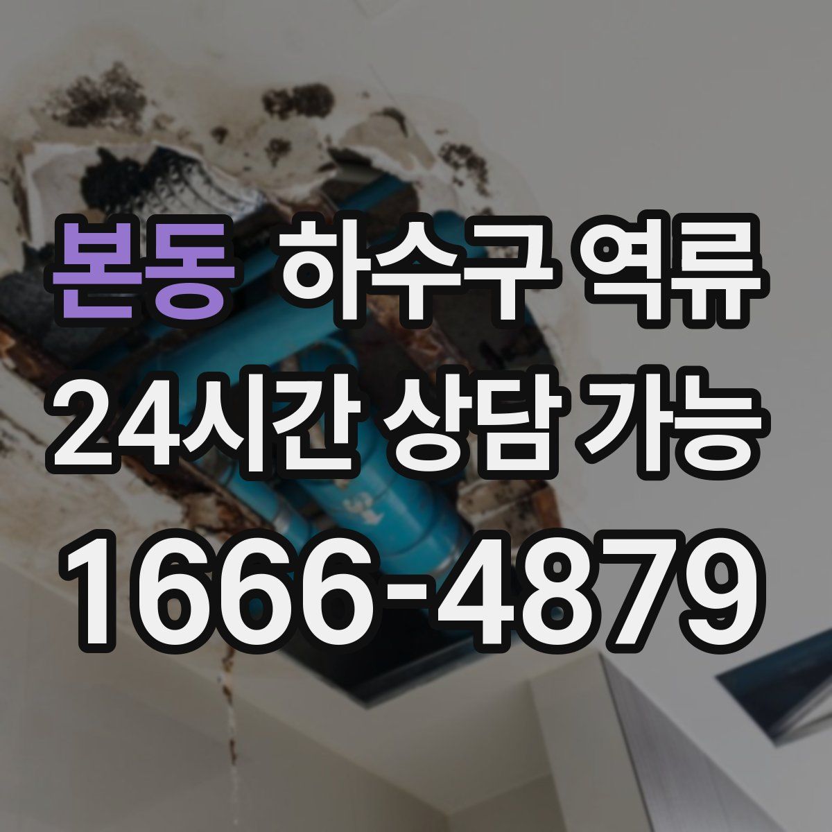 본동 하수구 역류