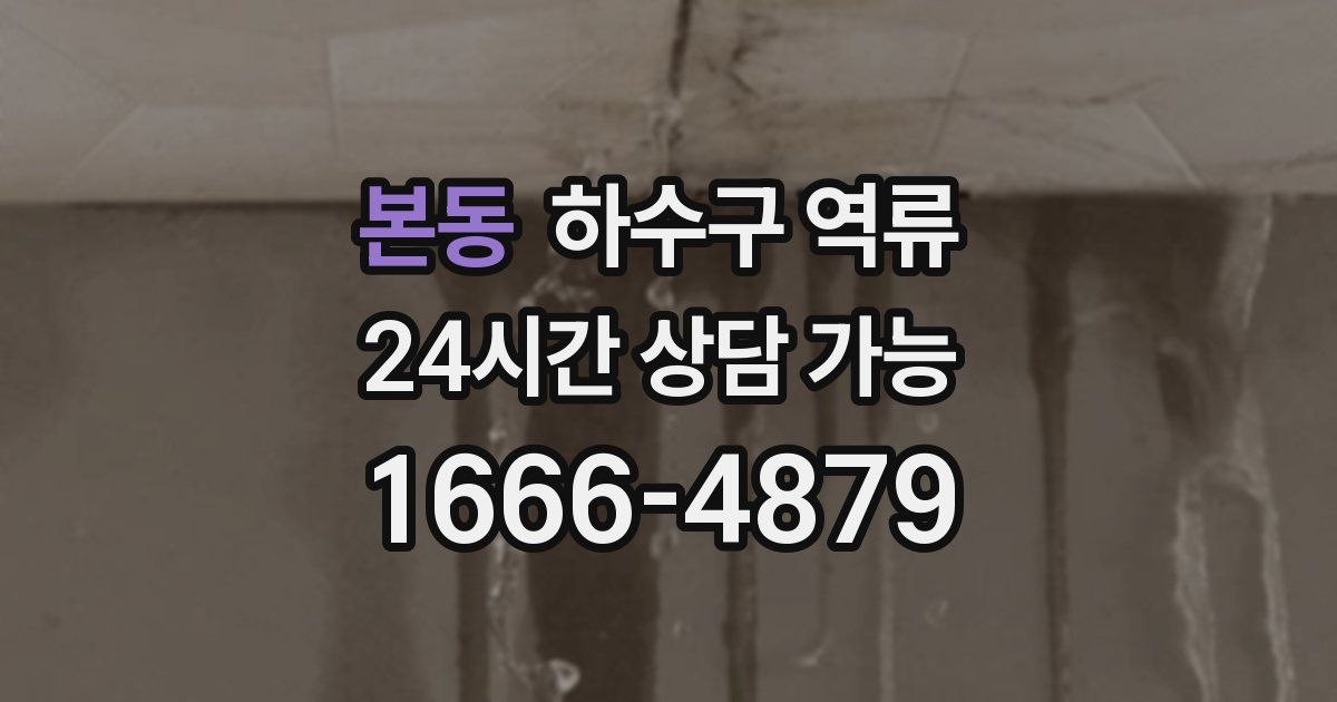 본동 하수구 역류