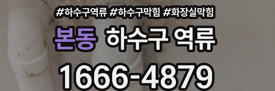 본동 하수구 역류