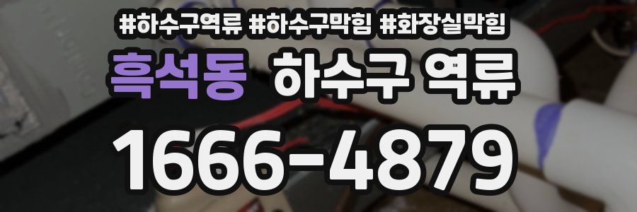 흑석동 하수구 역류