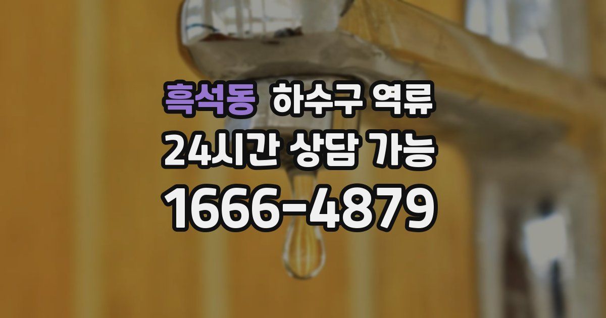 흑석동 하수구 역류