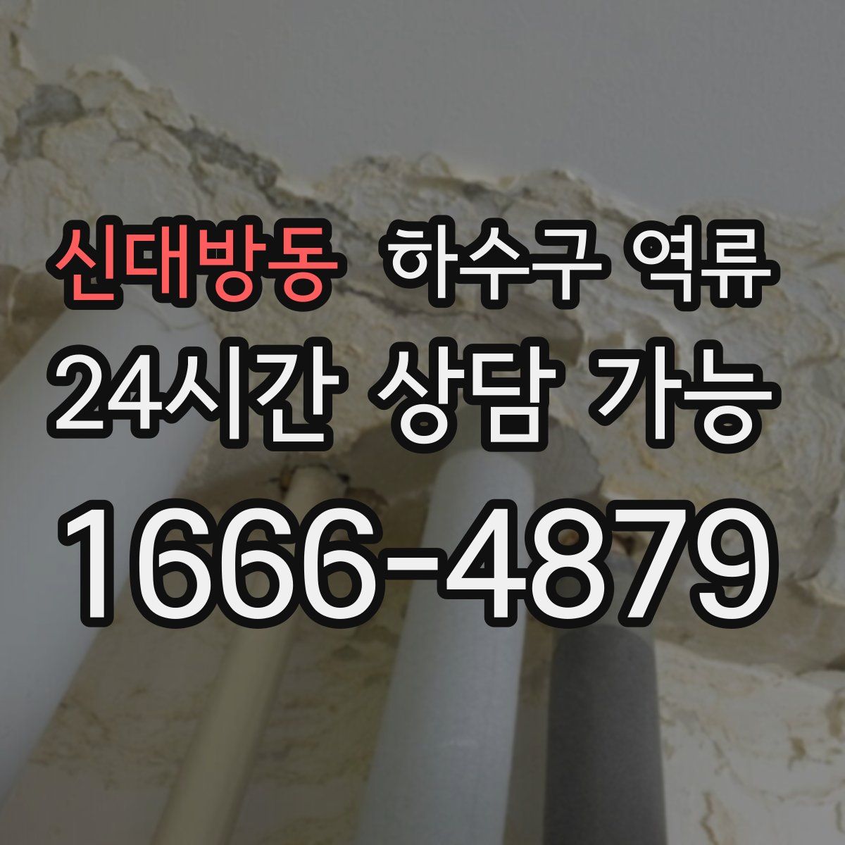 신대방동 하수구 역류