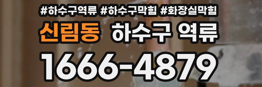 신림동 하수구 역류