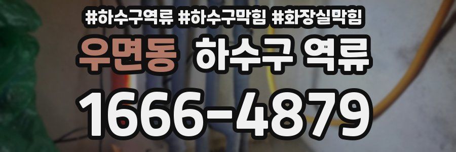 우면동 하수구 역류