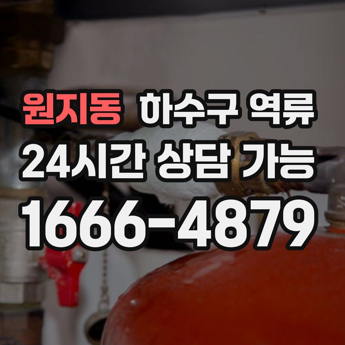 원지동 하수구 역류