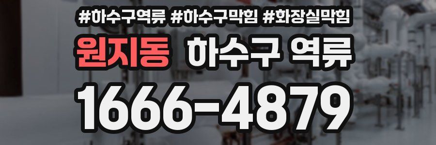 원지동 하수구 역류