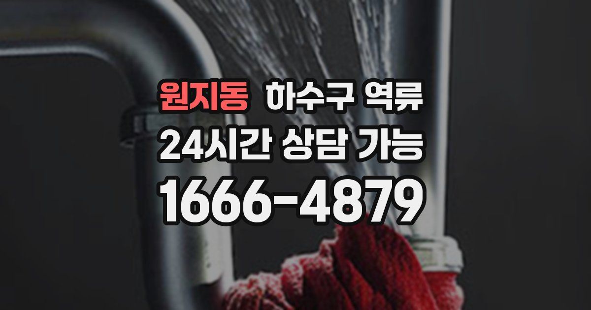 원지동 하수구 역류