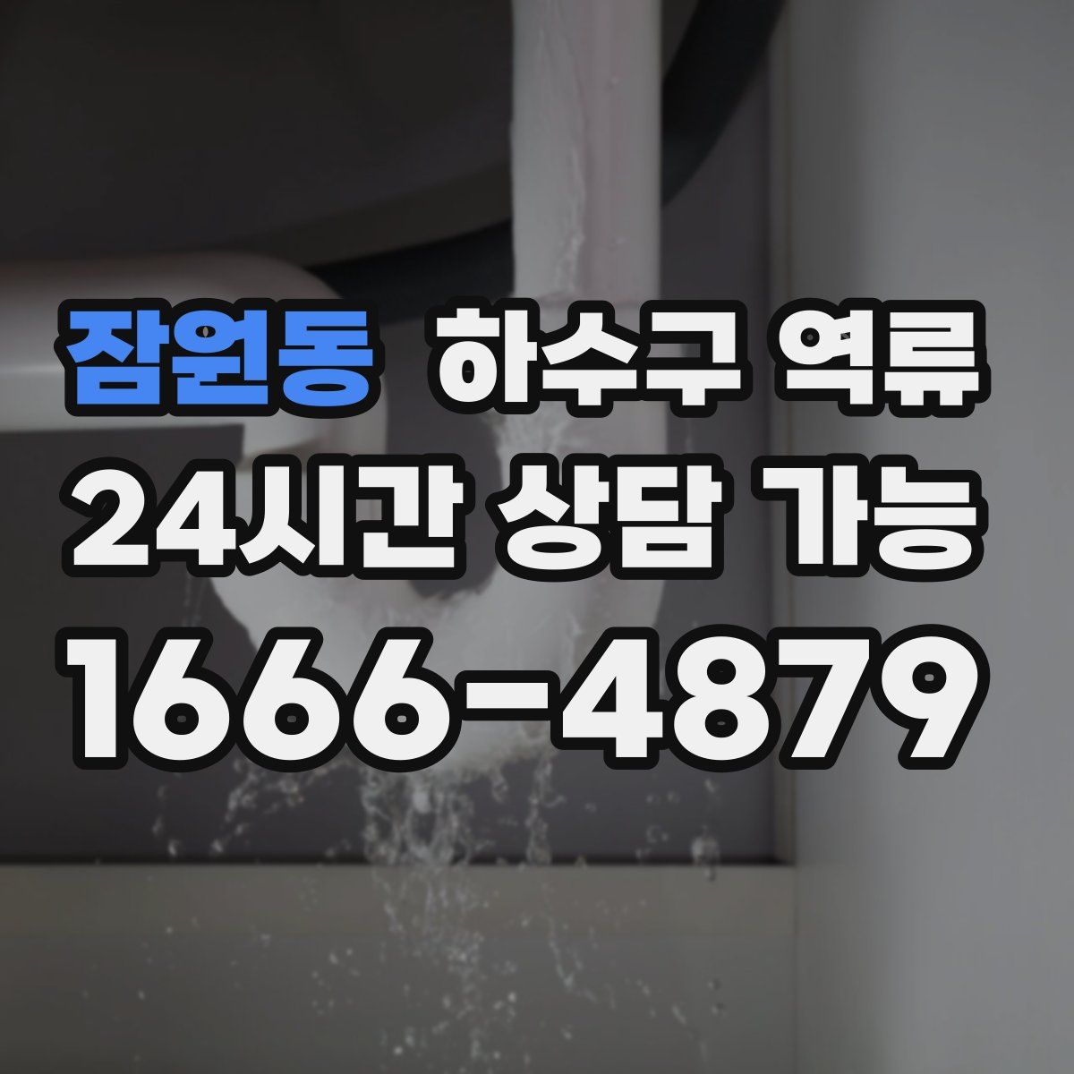 잠원동 하수구 역류