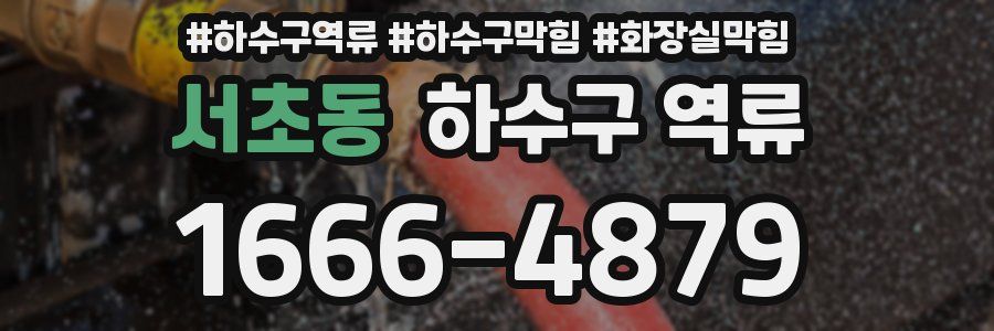 서초동 하수구 역류