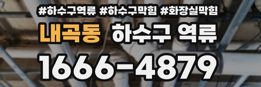 내곡동 하수구 역류