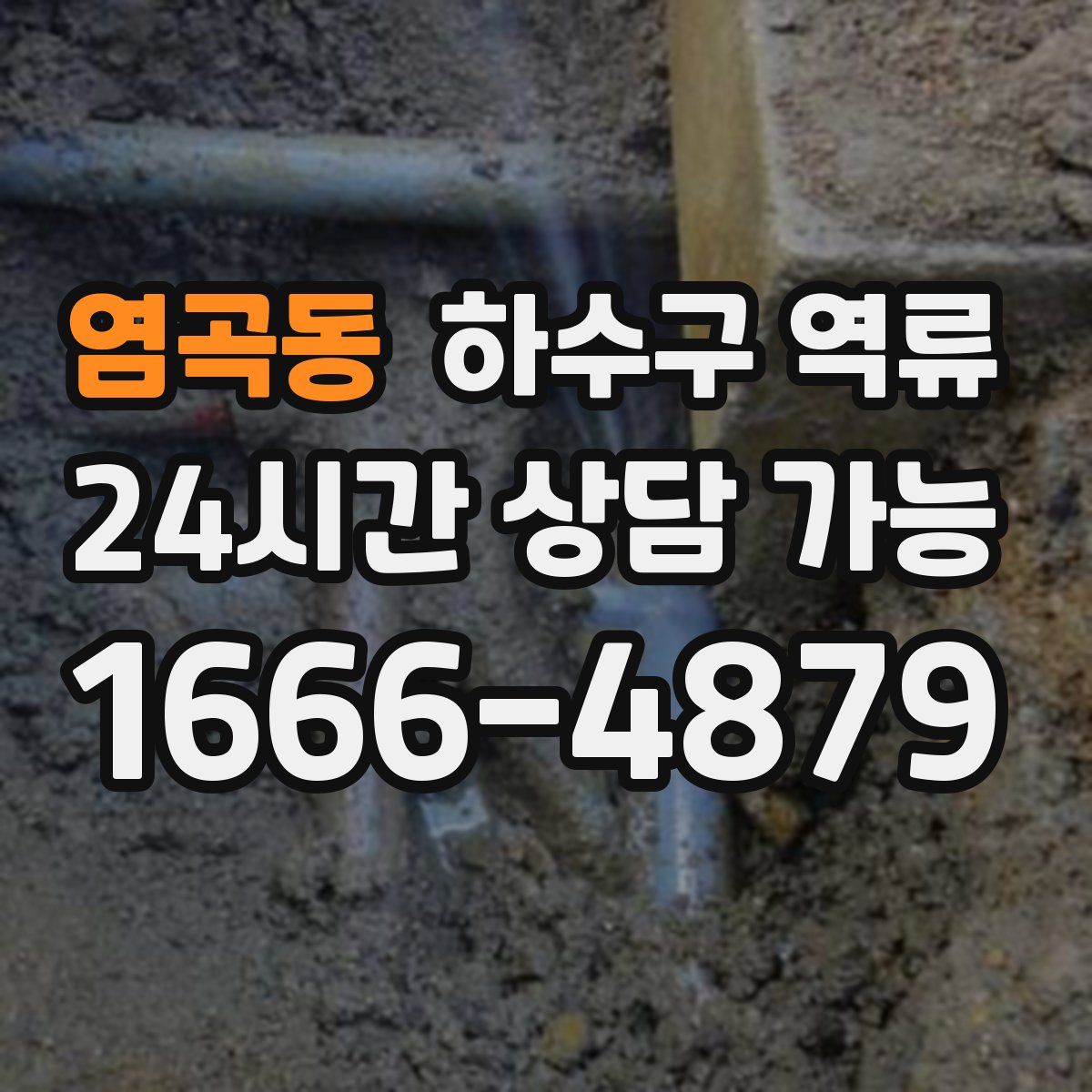 염곡동 하수구 역류