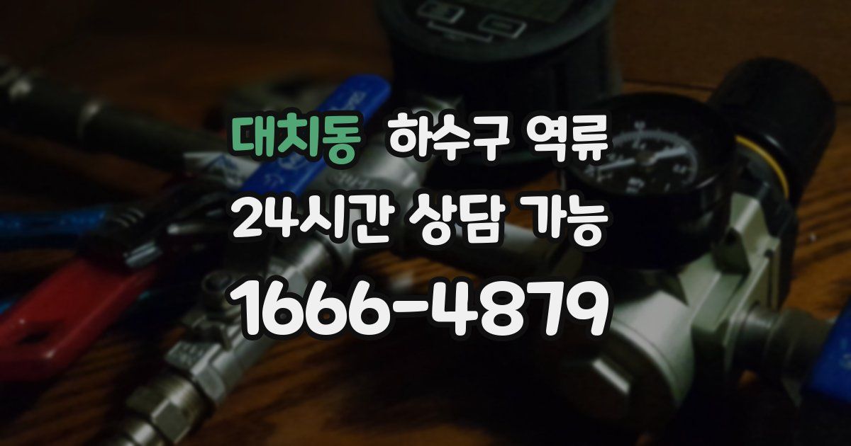 대치동 하수구 역류