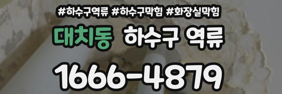 대치동 하수구 역류