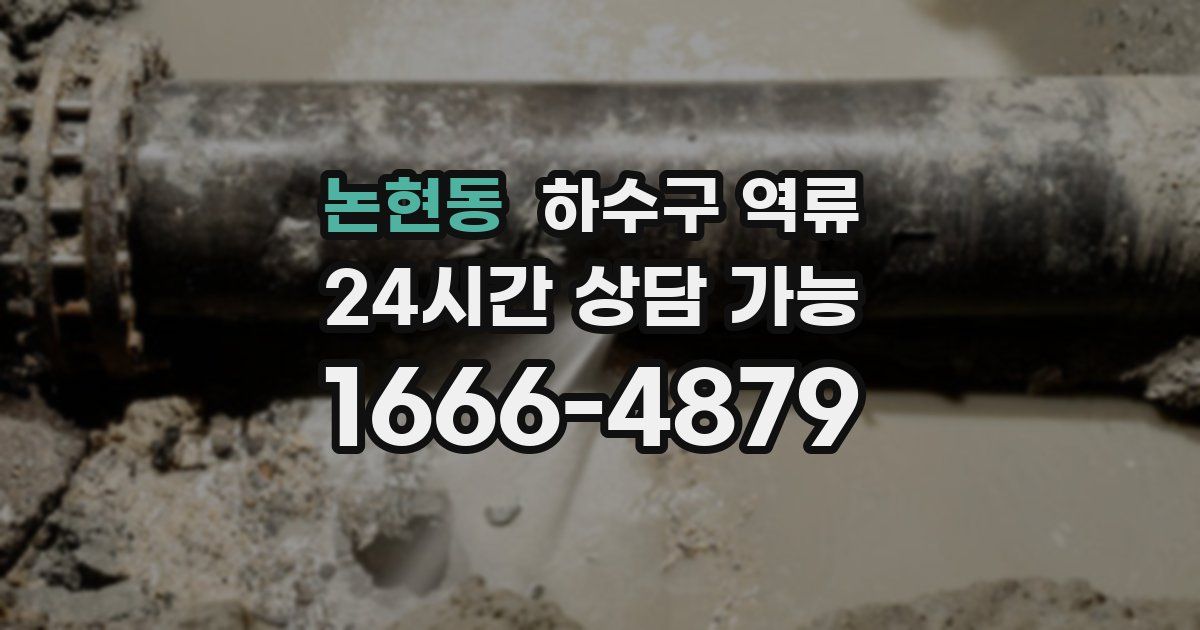 논현동 하수구 역류