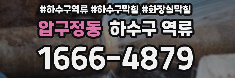 압구정동 하수구 역류