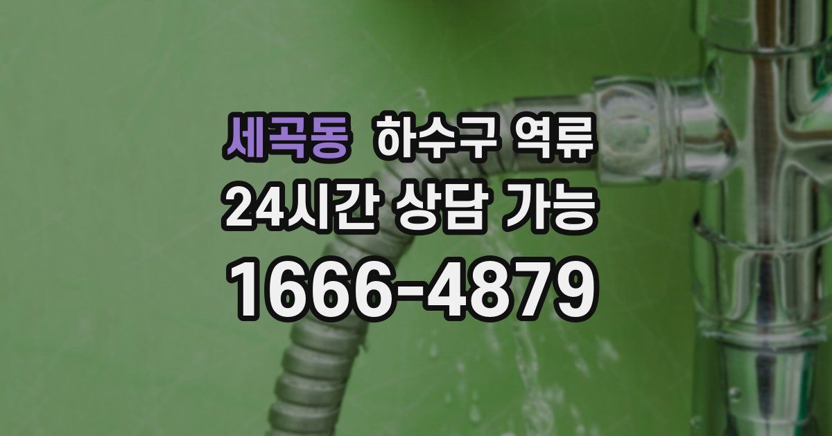 세곡동 하수구 역류