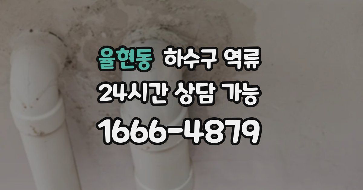 율현동 하수구 역류