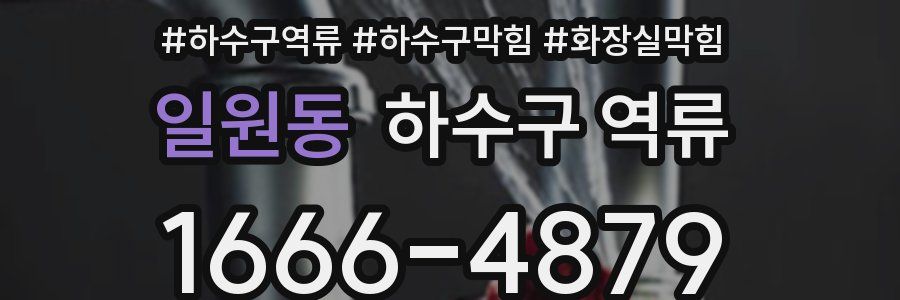 일원동 하수구 역류