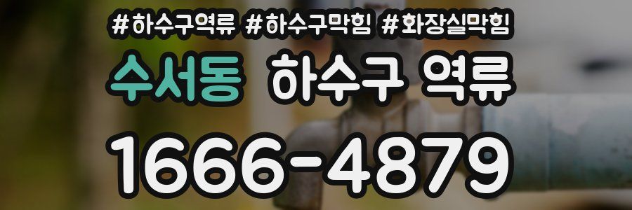 수서동 하수구 역류