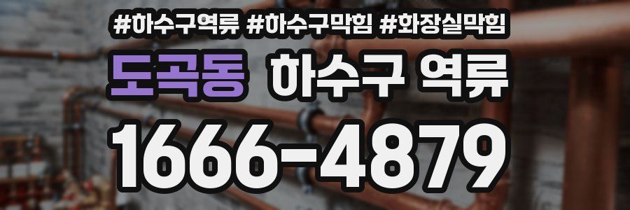 도곡동 하수구 역류