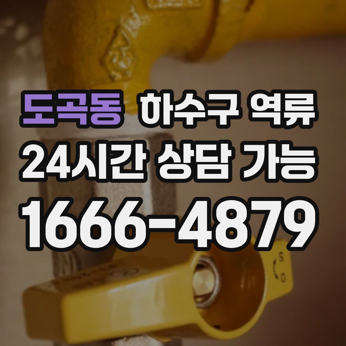 도곡동 하수구 역류