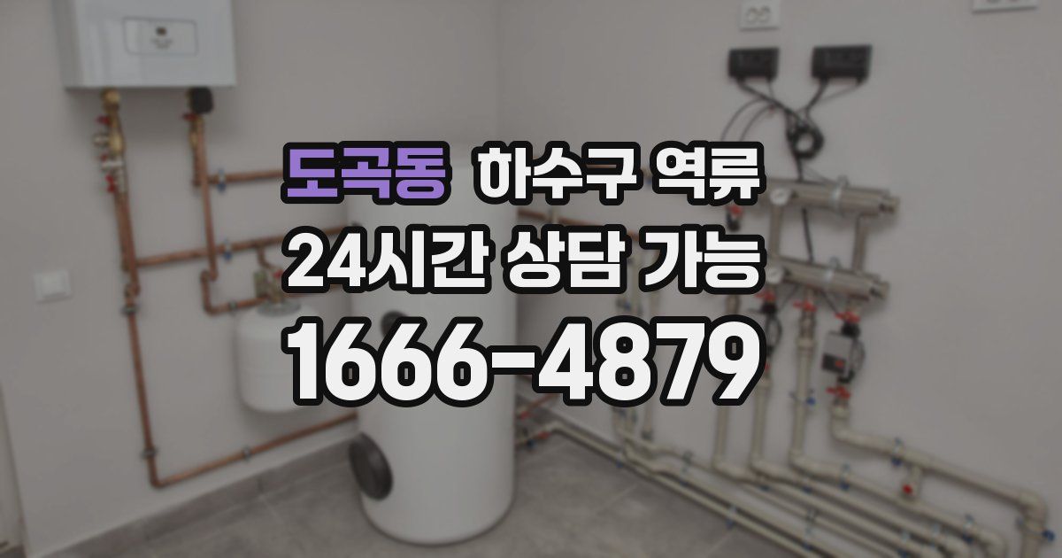 도곡동 하수구 역류