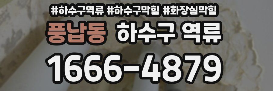 풍납동 하수구 역류