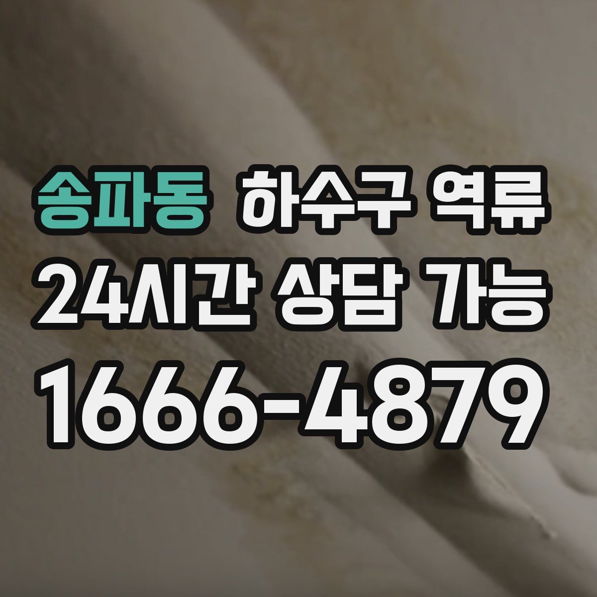 송파동 하수구 역류