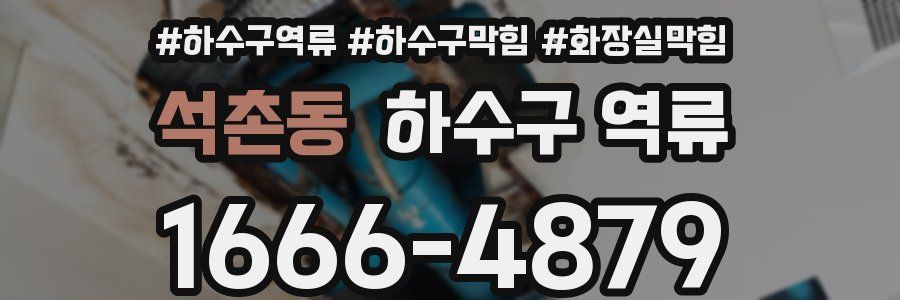 석촌동 하수구 역류