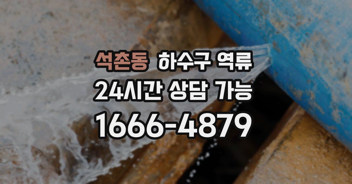 석촌동 하수구 역류