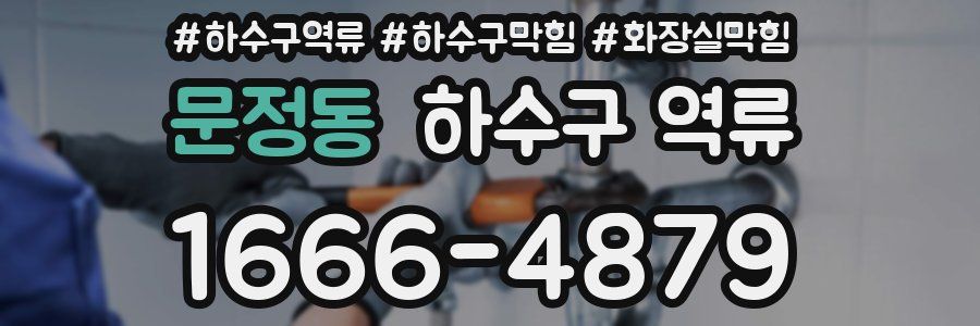 문정동 하수구 역류