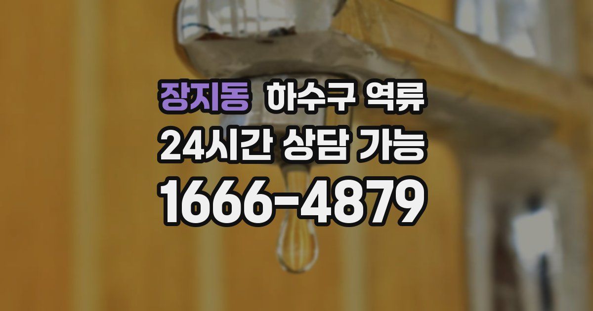 장지동 하수구 역류