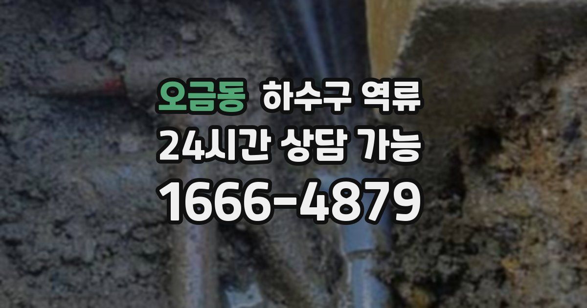 오금동 하수구 역류