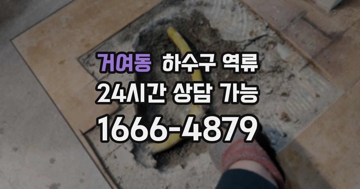 거여동 하수구 역류