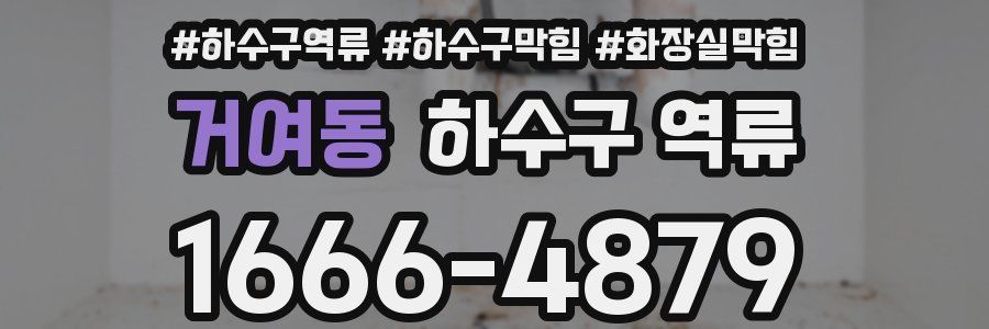 거여동 하수구 역류