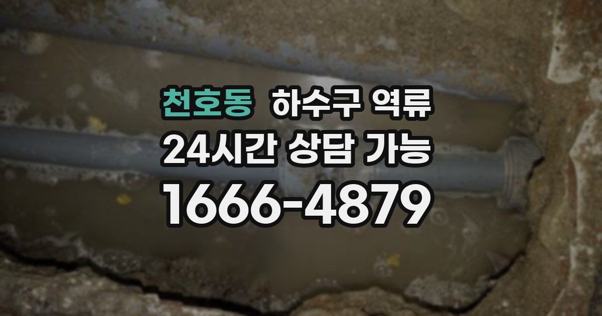 천호동 하수구 역류
