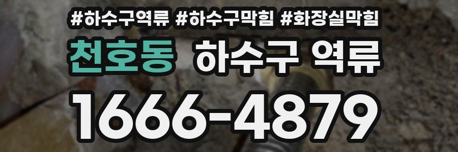 천호동 하수구 역류