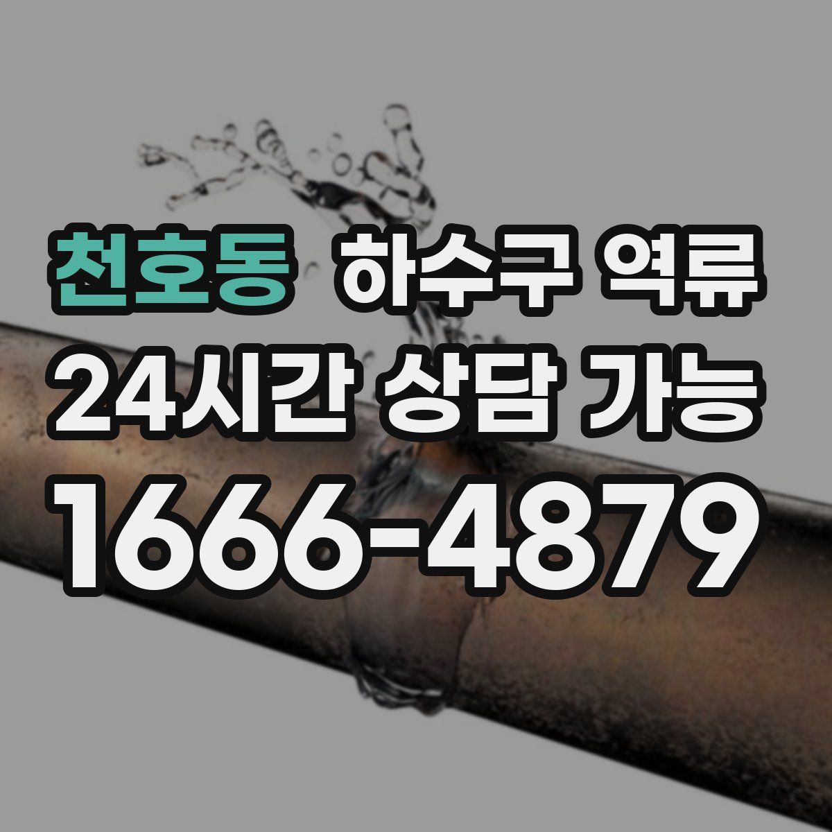 천호동 하수구 역류