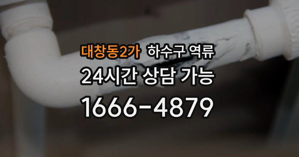 대창동2가 하수구 역류