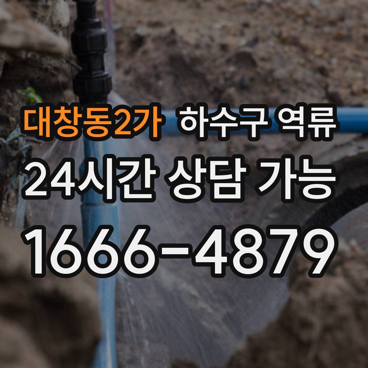 대창동2가 하수구 역류