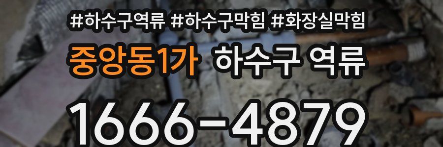 중앙동1가 하수구 역류