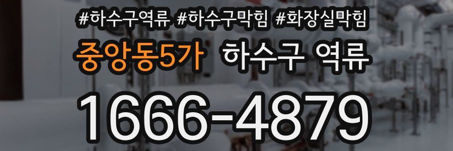 중앙동5가 하수구 역류