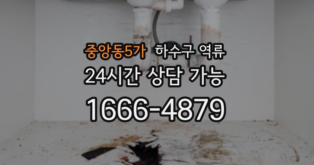 중앙동5가 하수구 역류