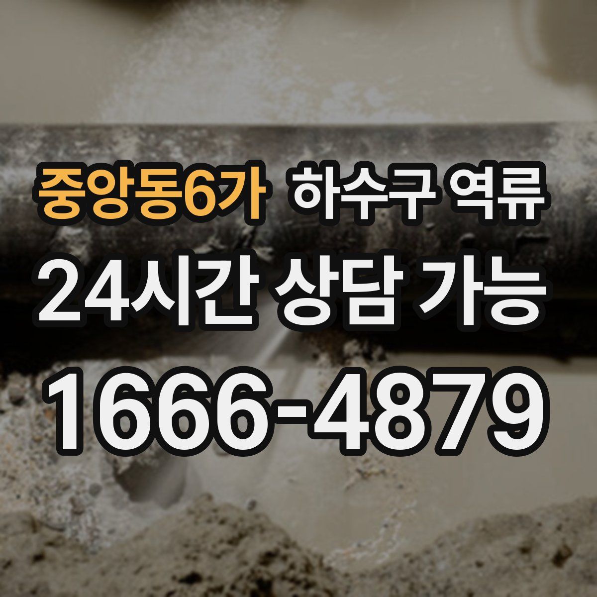 중앙동6가 하수구 역류