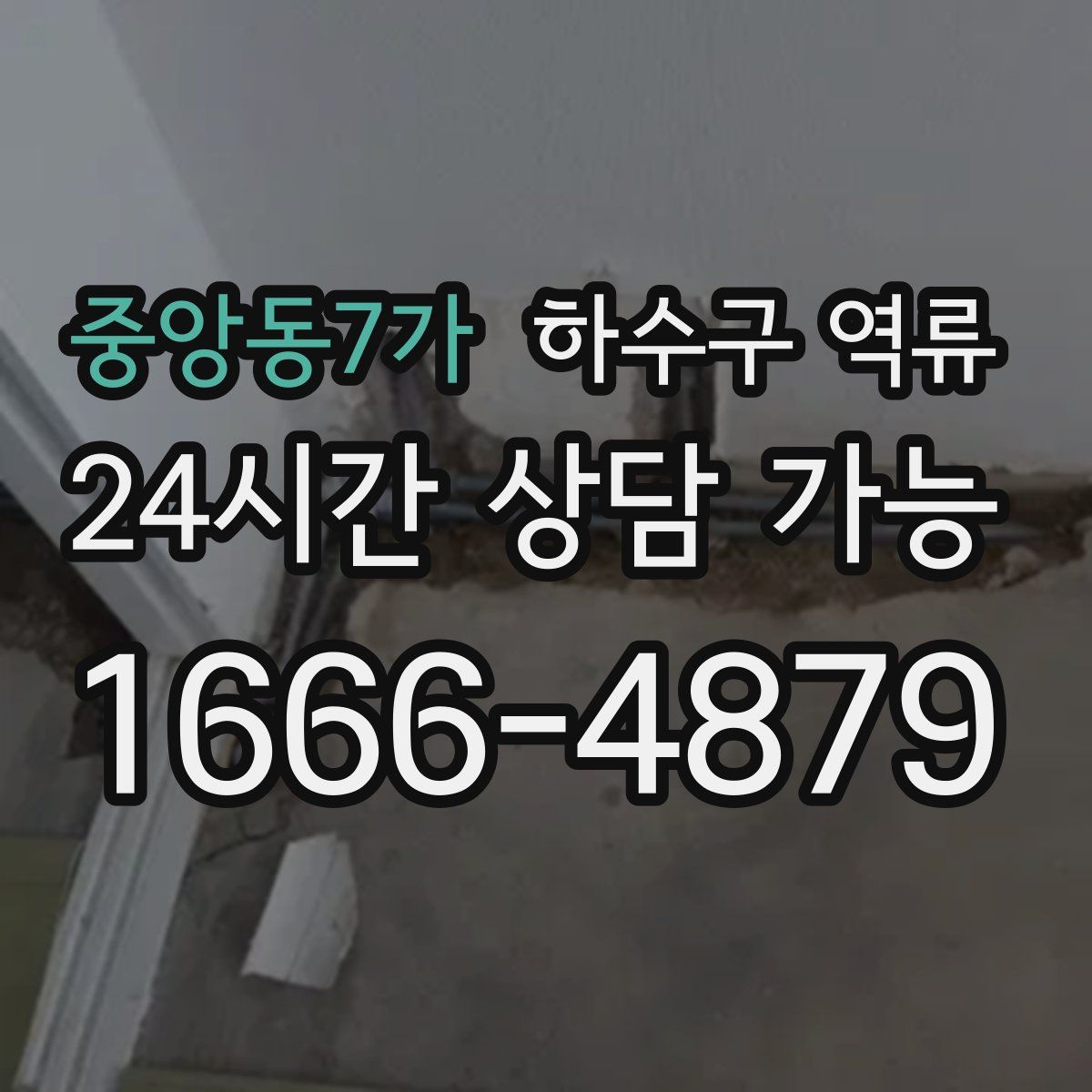 중앙동7가 하수구 역류